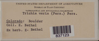 Image Associated With the Occurence